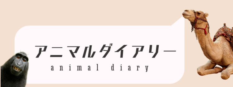アニマルダイアリー